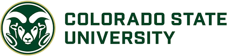 university
