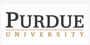 university